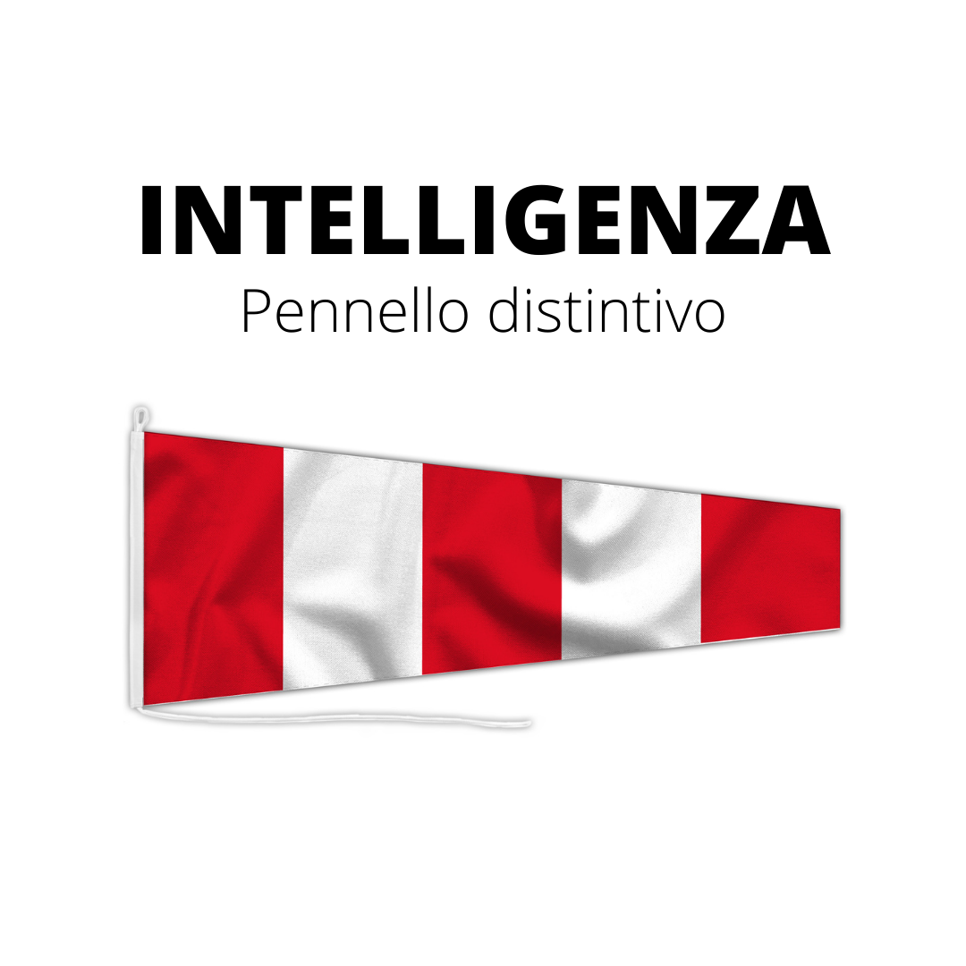 Pennello INTELLIGENZA
